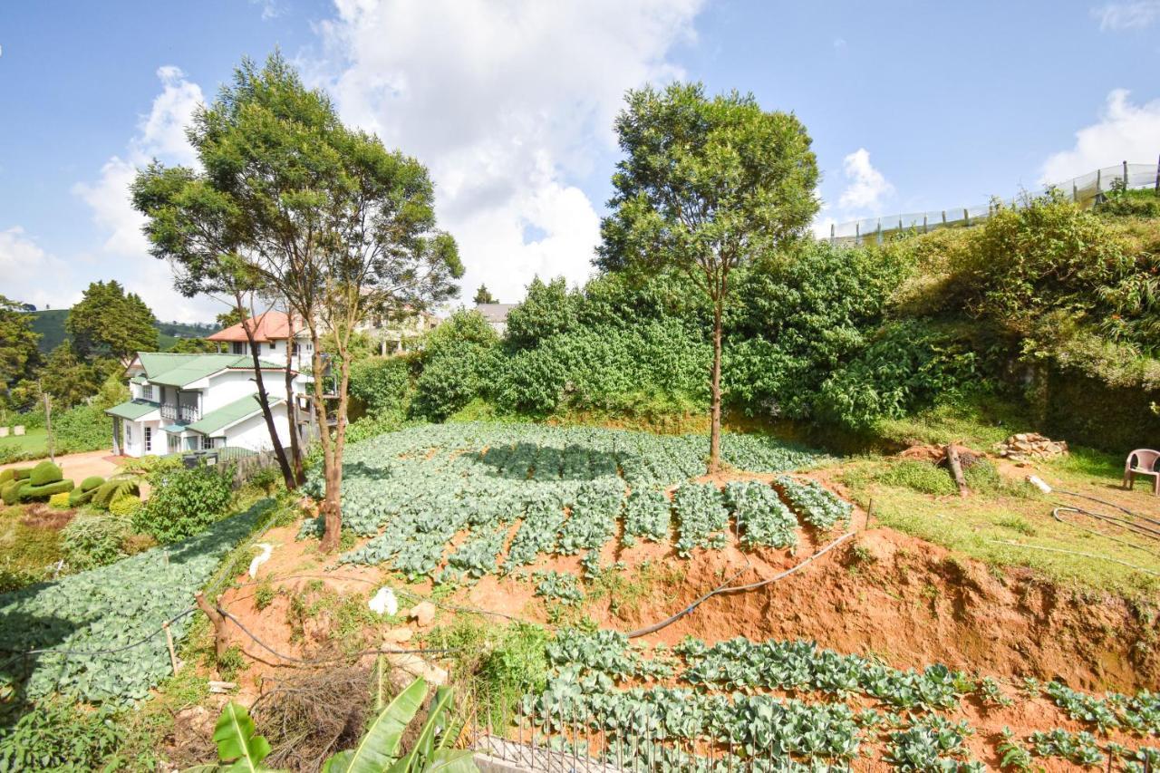 St. Anne Holiday Bunglow Nuwara Eliya Ngoại thất bức ảnh